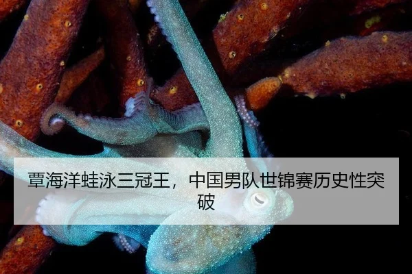tan-hai-yang-wa-yong-san-guan-wang-zhong-guo-nan-dui-shi-jin-sai-li-shi-xing-tu-po-3-176.jpg